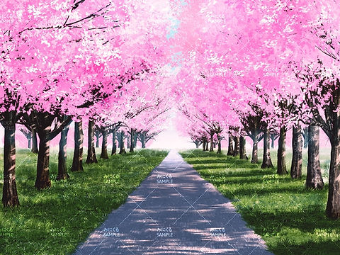 桜並木の遊歩道(昼) - 自然05春 | 背景素材店みにくる