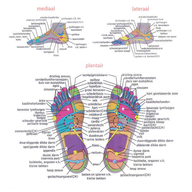 downloaden voetenkaart.png