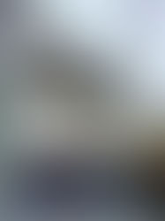 アボカドの水耕栽培