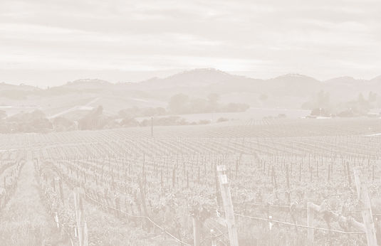 napa25_bkg.jpg