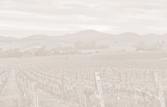 napa25_bkg.jpg