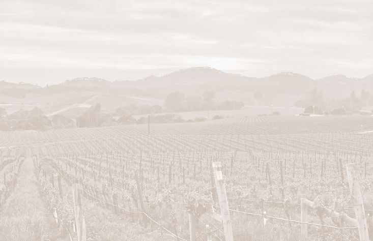 napa25_bkg.jpg