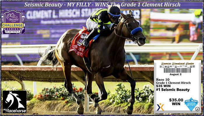 smr25_aug2_seismicbeautyBIG.jpg