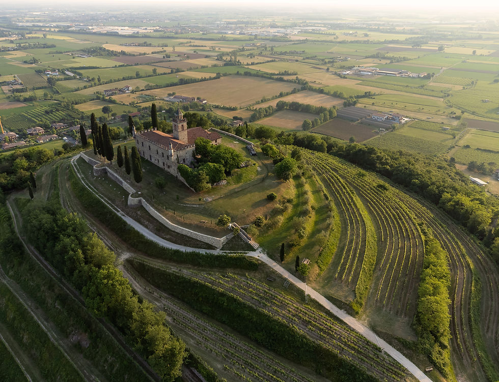 Aerial view of the Gussago Castle in the Franciacorta region, Lombardy. This stone building is surrounded by lush green fields and vineyards. Tree-lined paths and distant farmland are visible.