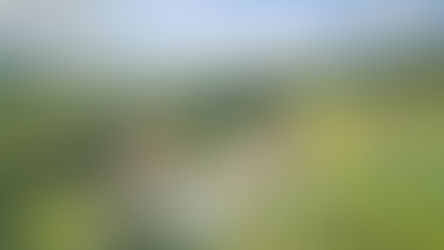 Aerial view of Casale Serena