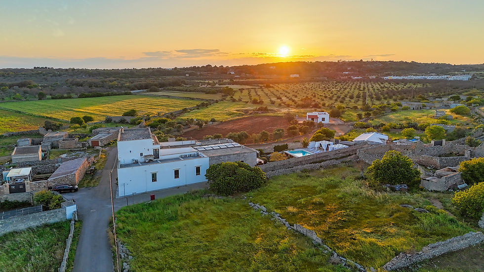 Rural landscape in Puglia at sunset with green fields, scattered houses, and a winding road. Warm hues in the sky, creating a peaceful atmosphere.