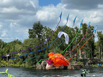 What exactly is KiteTails?—Our guide to the newest Disney's Animal Kingdom show