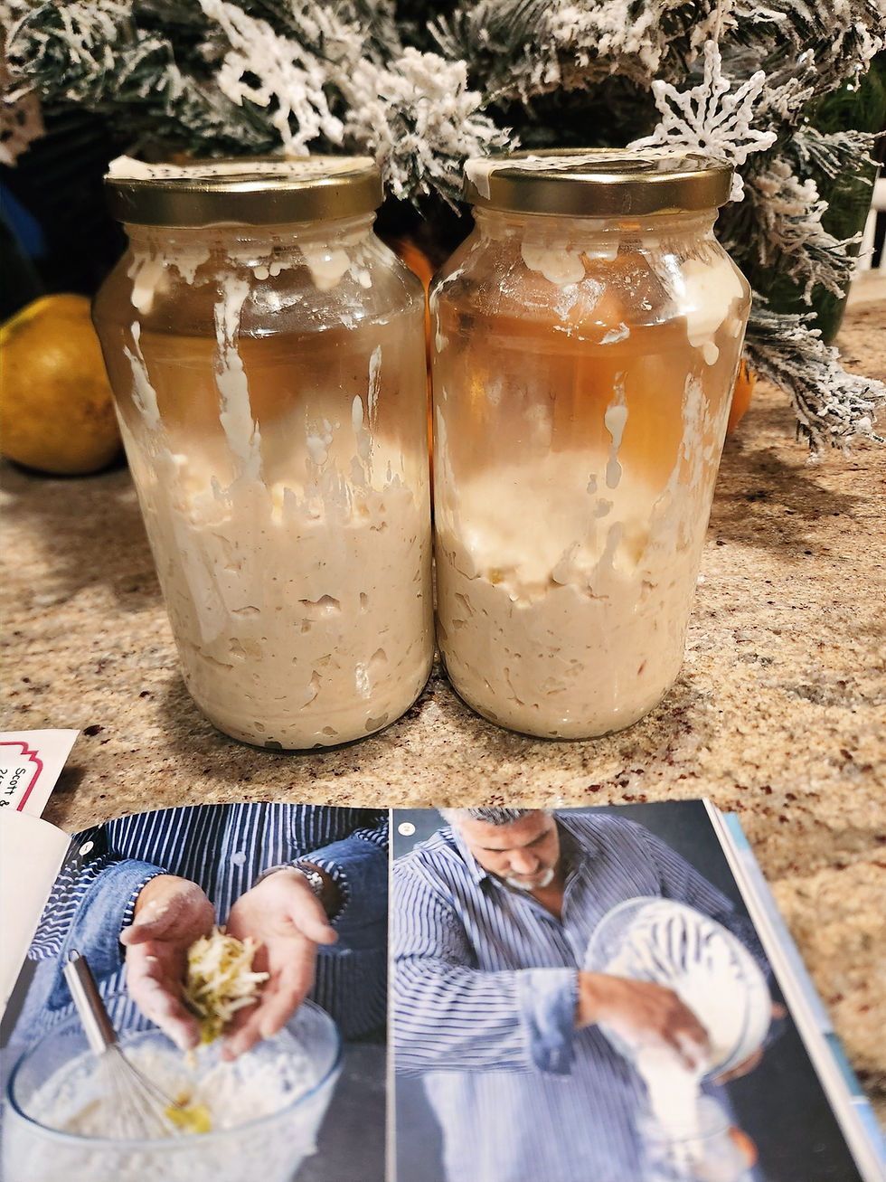 "How to Bake" Sourdough Starter