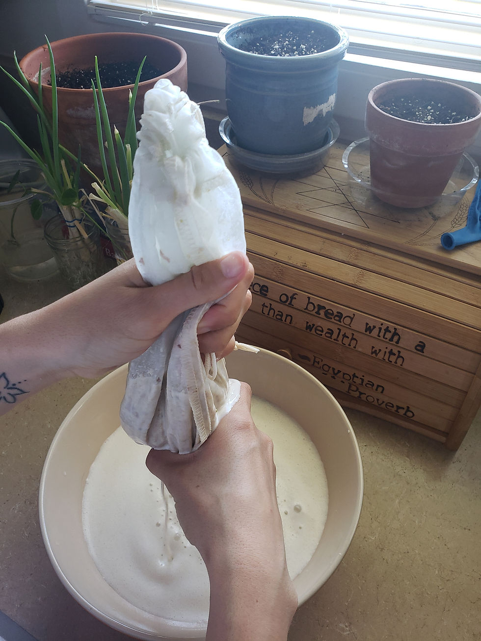 Separating the nut milk from the nut pulp using the bamboo nut bag (kind of like a cheese cloth)