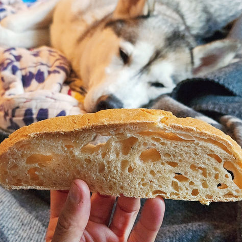 Baking My Way Through Paul Hollywood's "How to Bake" - Eighteen: Spitfire Sourdough