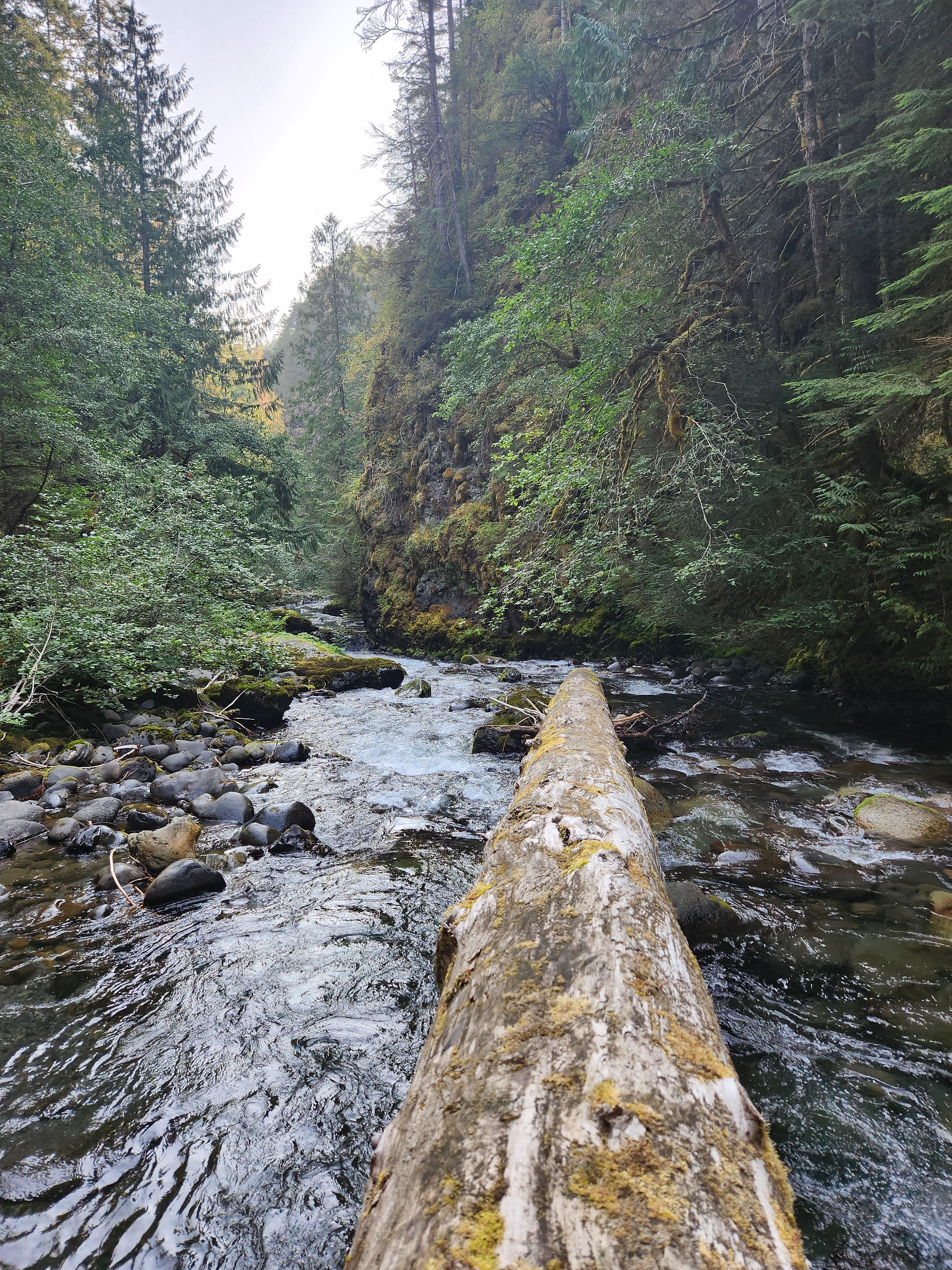 olympic peninsula hike 