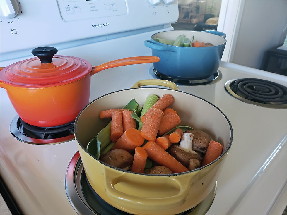 Vegetable scraps and other chopped veggies in a pot ready to make a stock