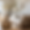leannevdw_editorial_style_image_of_furniture_pieces_soft_neutra_f3a47cb3-b2ca-4326-b09b-de