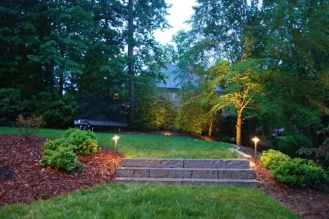 Path lighting showing the change in elevation and surfaces from hard to soft. 