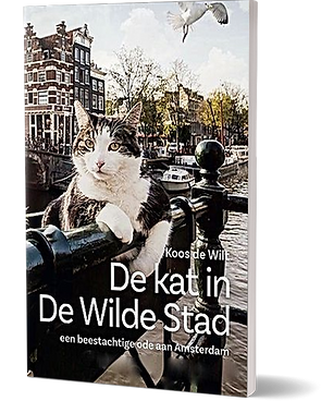 De kat in de Wilde Stad