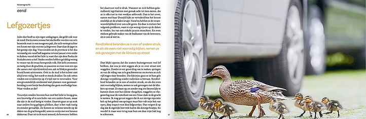 Schermafbeelding 2025-03-16 om 08.51.03.png