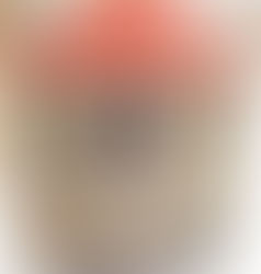 La funda-caseta de l'Esther per la seva màquina de cosir. Molt maca!,#LAKU-LOMA pachwork,#patchw