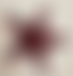 Mireu quina estrella de Nadal més bònica i vistosa li ha quedat a la Núria fa una setmana en el mono