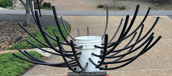 Spider Bucket habitat.jpg