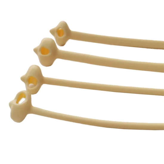 4. Catheters & Drainage Systems
