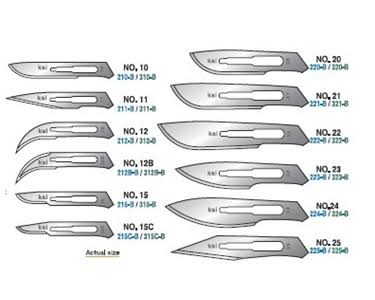5. Surgical Instruments & Accessories