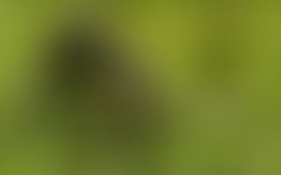 Why you Need to Trade the Markets like a Sniper