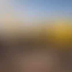 Zeitgeist: A Postmortem on Spirit Airlines