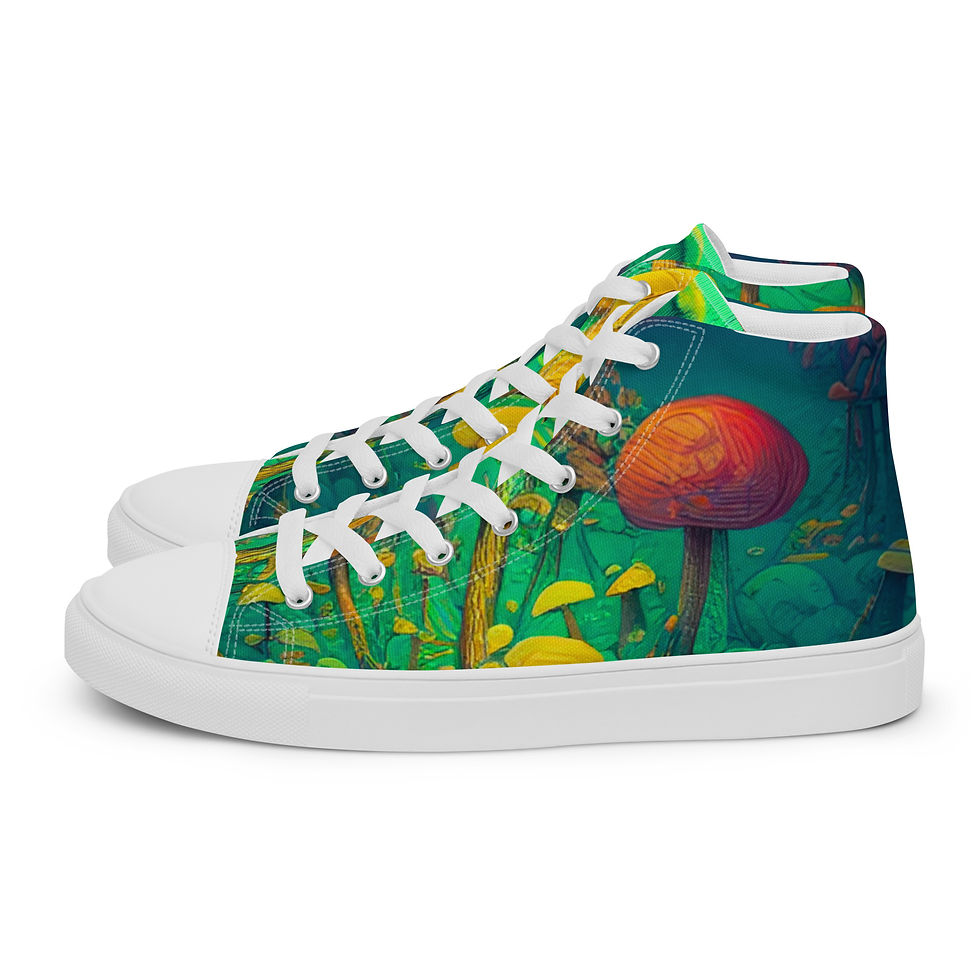 “the Psychedelic Nether” Men’s high top canvas shoes