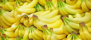 Banana bunches