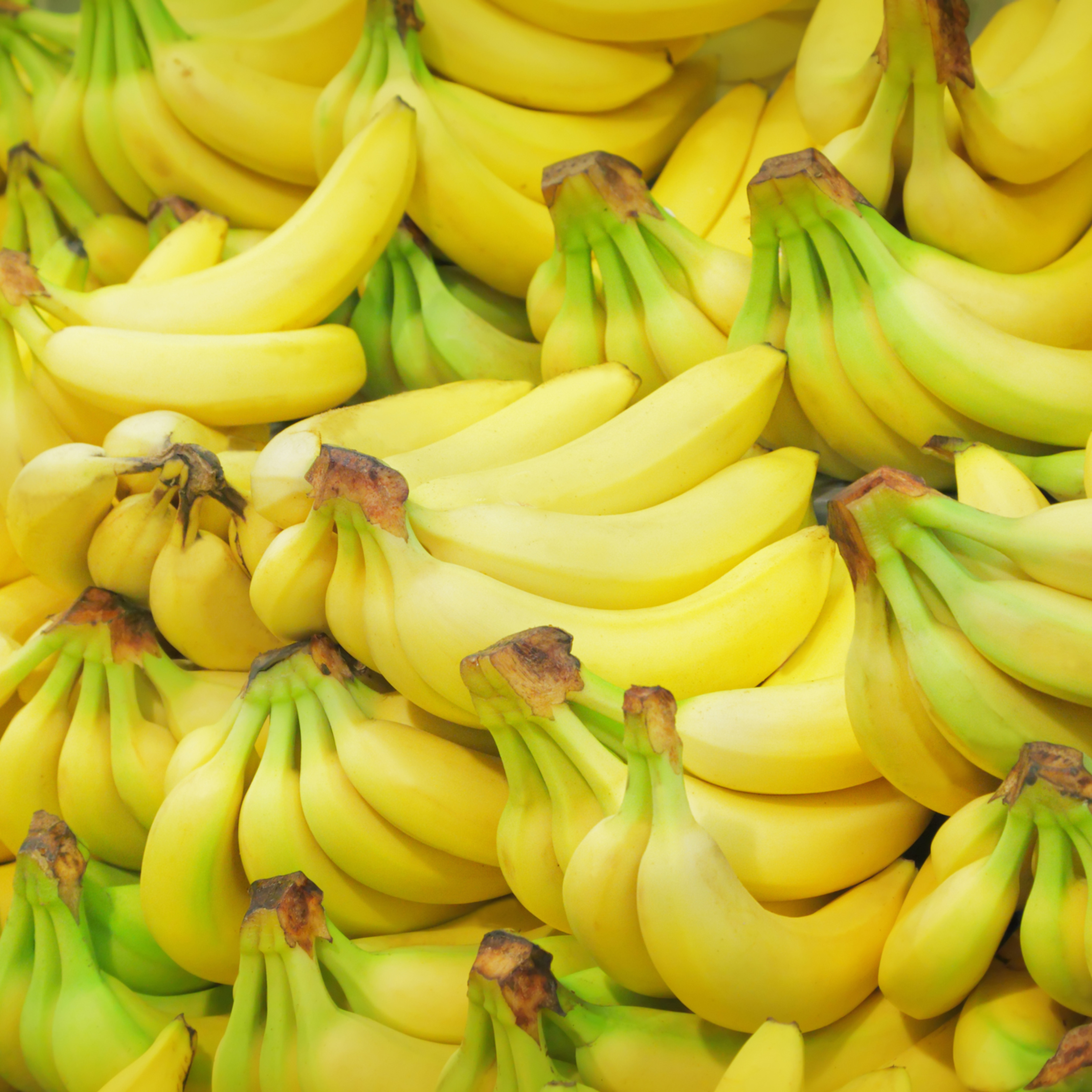 Banana bunches
