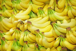 Fresh produce used only.