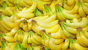 Fruit # 8 Bananas