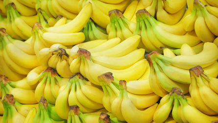 Banana Peel Secrets You Did Not Know, But That Your Garden Will Love!