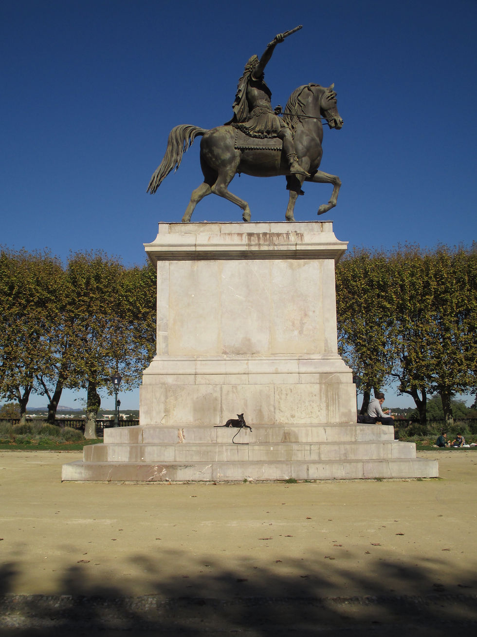 chien au peyrou à montpellier
