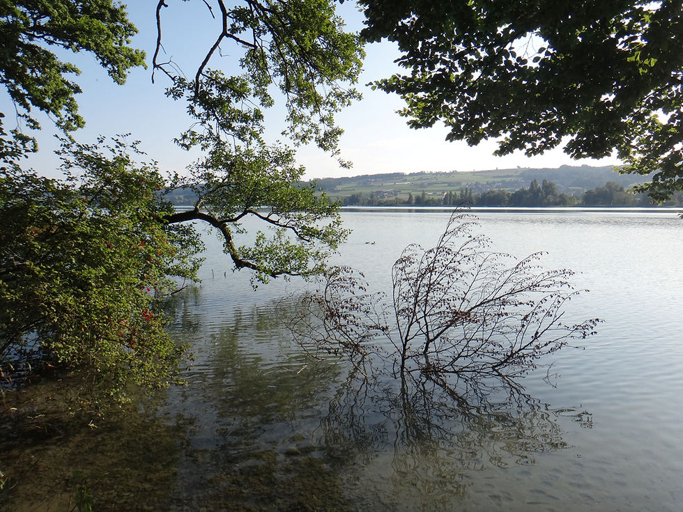 DSC08155