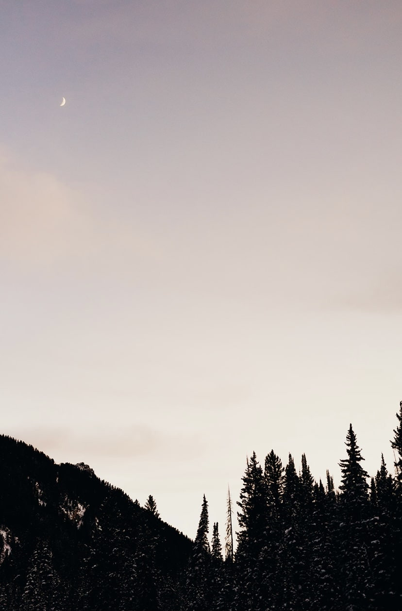 Spending time in nature is good for the body, soul, and mind.