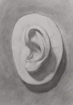 CAST OREJA