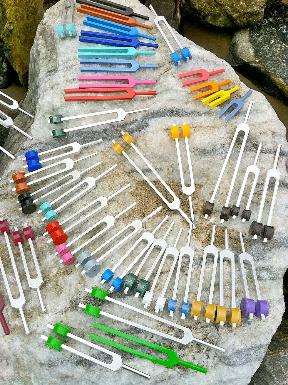 Acutonics pic.jpg