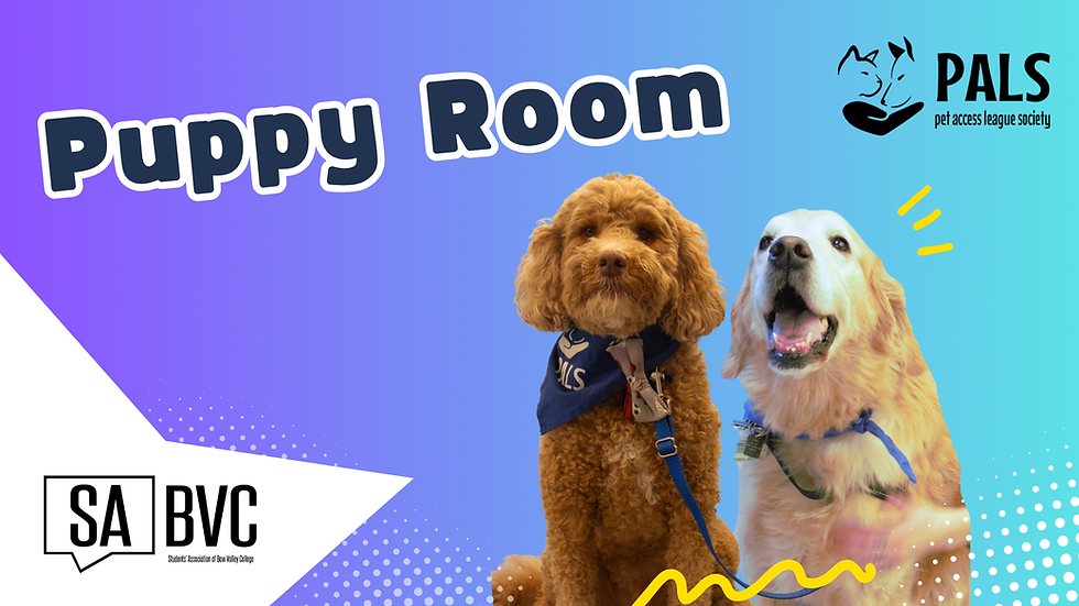 Puppy Room