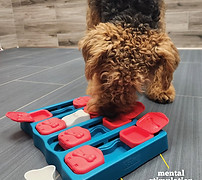 Pup enrichment.jpg