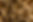 close-up-on-fur-of-a-bengal-2021-08-26-18-01-19-utc.jpg
