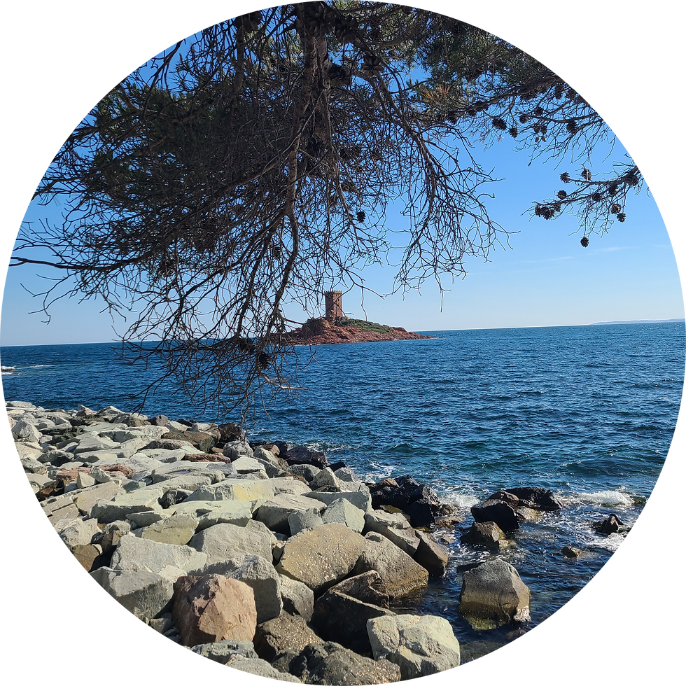 ile d or