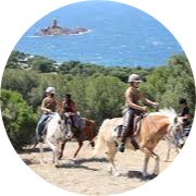 cheval1