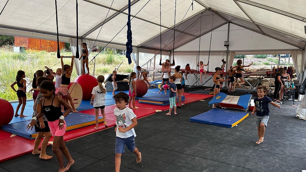 ecole de cirque