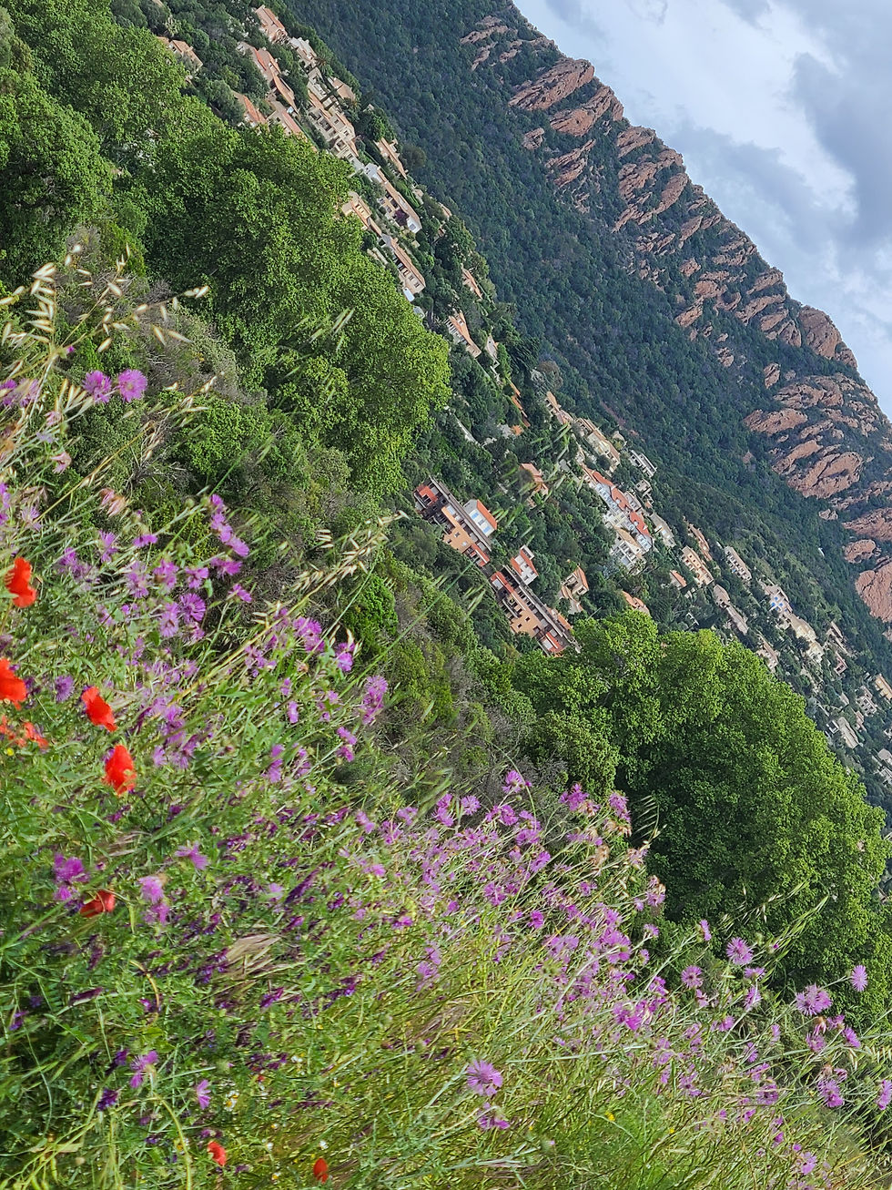 BALADE DANS CAP ESTEREL