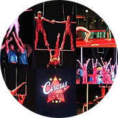 circus resort spectacles, animation cap esterel pierre et vacances