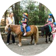 poney-modified