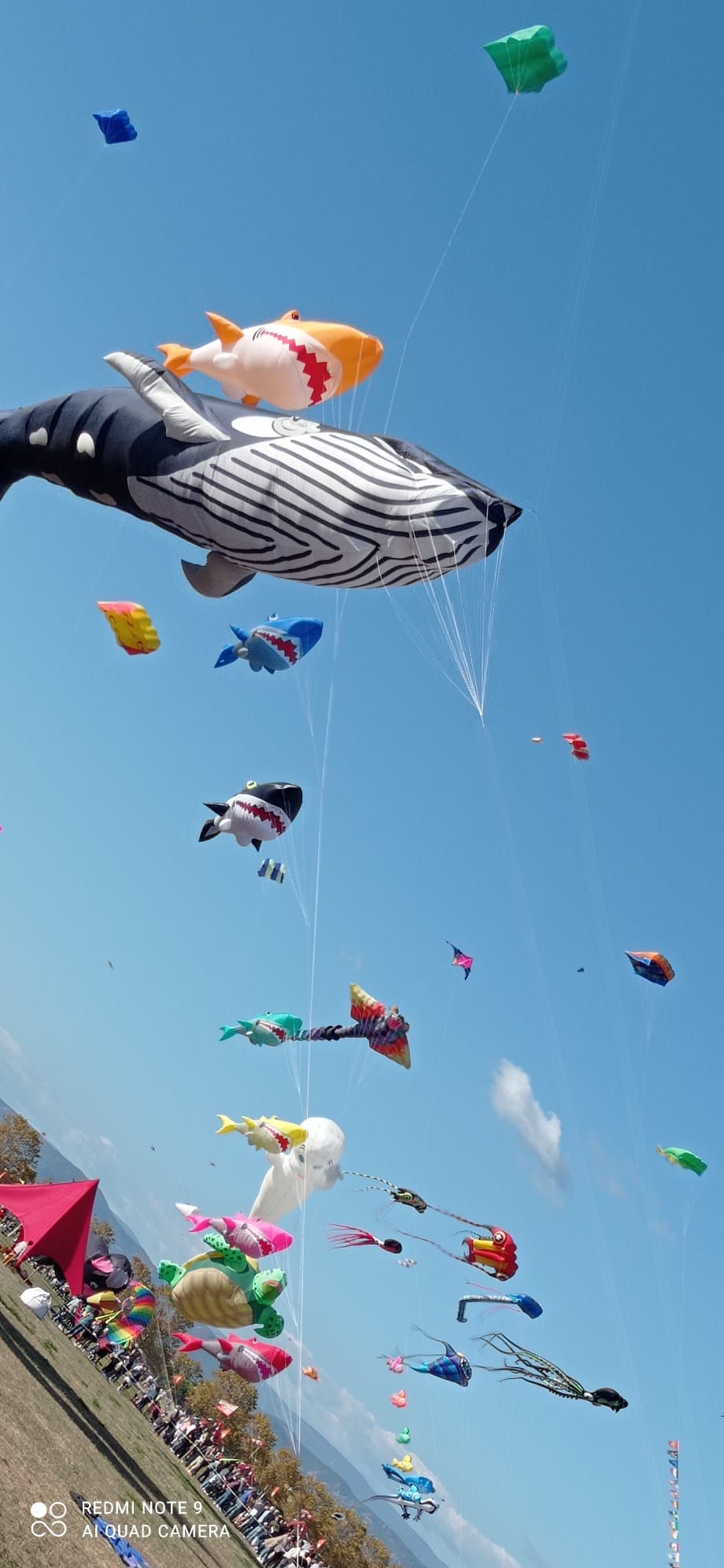 FESTIVAL DU CERF VOLANT