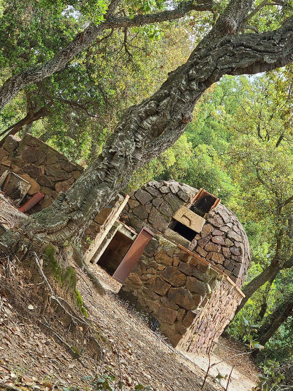 BALADE DANS DOMAINE CAP ESTEREL