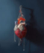 ree